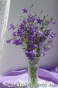 овсяная мука  - производитель! #390203