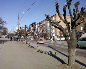 обрезка деревьев киев #369976