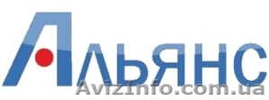 Ремкомплект РТИ,  шайбы медные,  запчасти ТМ Альянс #382833