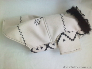 Одежда для вашей собачки #379181