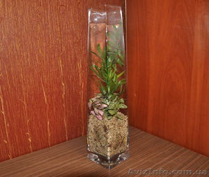 флорариумы,  ландшафтный дизайн #386902