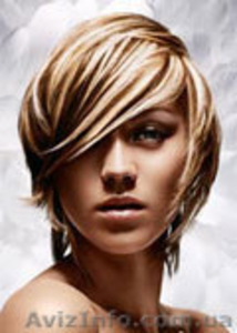 Курсы Парикмахерского Мастерства   #381723