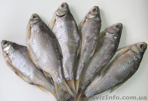 Продаю рыбу оптом и мелким оптом #373603