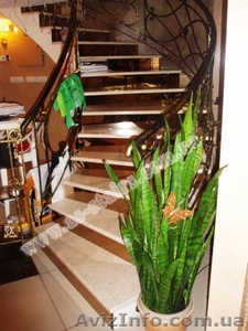 Заказать монолитные лестницы в Житомире #419373