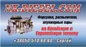 распылитель плунжерная пара на Китайскую и Европейскую технику #401271