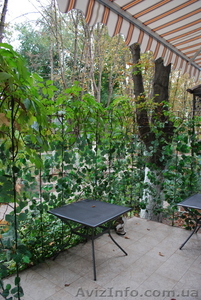 Продается таун-хаус на Даче Ковалевского #424813