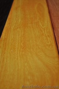 Желтое дерево,  Пау-амарелло (Амарилло, Бразильское желтое дерево) #407524