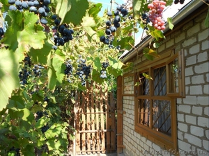 Продам дачу,  Херсон  #396761
