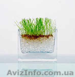 Аграрный гидрогель #400193