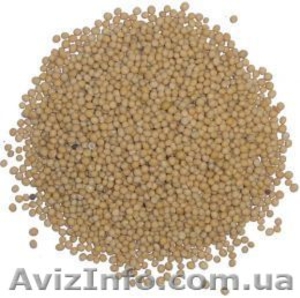 Горчицу жёлтую! #424562