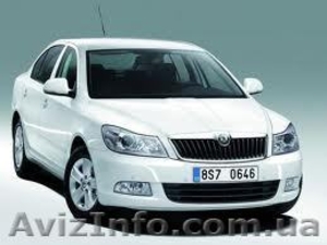 Авто на свадьбу Skoda Octavia A5,  доступные цены #416201
