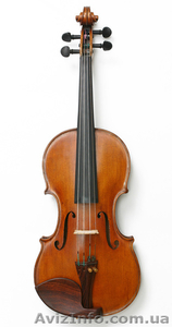 Скрипичный мастер #423012