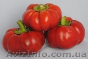 Cемена овощных культур #412981