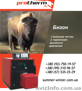 Котел Protherm Пантера 25 KOV #403613