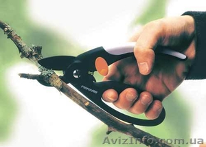 Профессиональная обрезка всех плодово-ягодных деревьев #424960