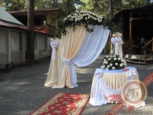 Организация и проведение свадеб #402981