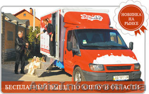 Мобильный салон красоты для животных Зоохоливуд #422168