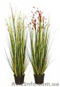 Искусственные растения,  кашпо (Бельгия,  Голландия) #440055