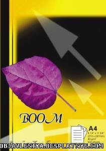 ОФИСНАЯ БУМАГА  ФОРМАТА А4 #450652