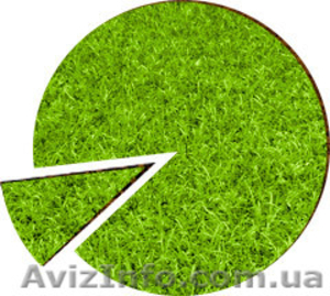 Участок ор-р Широкий #449807