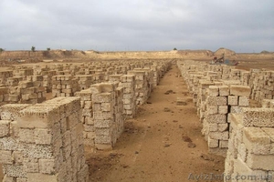 ракушняк все виды марок #435549