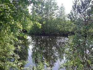 Участок 25 сот,  с. Николаевка (23 км от КП) #456104