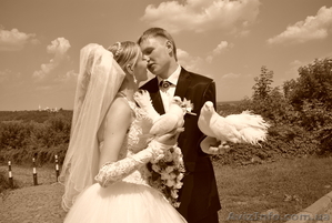 Видео-фото услуги #440450