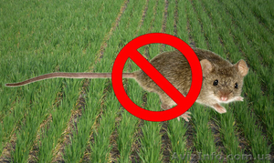 комплексные удобрения #448638