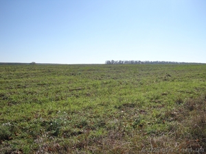 Продам участок Зеленый Гай Форест Парк #425973