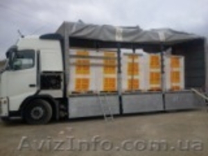 Газобетон от производителя #407072