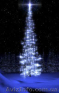 новорічні прикраси для ялинок, прокат ялинок, оформлення святкувань  #425661