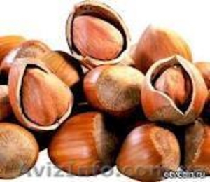 Орех Фундук неочищенный #441626