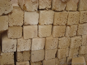 ракушечник крымский привезём #439082