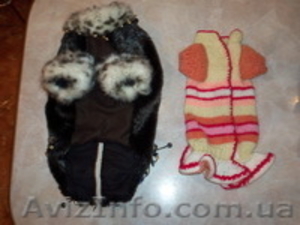 шью эксклюзивные вещи любых размеров собак #434034