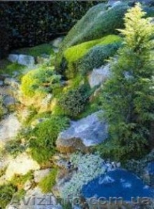 Предлагаем настенные пленочные обогреватели в ассортименте #436143