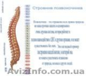 Боли в спине,   курс обучения. #435081