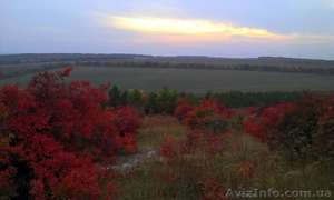 Экскурсия в Святогорск (Славяногрск).Меловые пещеры. #453533