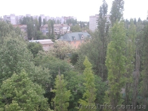 Сдаю посуточно в центре свою 1к/к квартиру,  район Сити-Центра  #290406