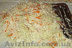 капуста квашеная #457469