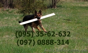 Блок-хаус  від виробника. #481506