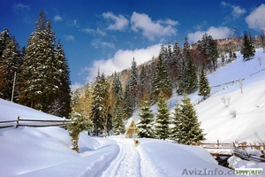 Рождество 2012 в Буковинских Карпатах из Одессы!!! #463128