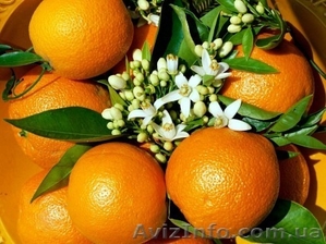  массаж на дому антицеллюлитный #455907