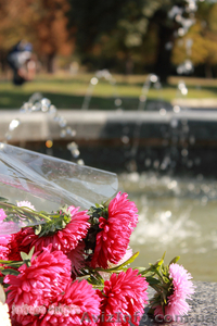 Фотограф для Вас и Ваших близких #460173