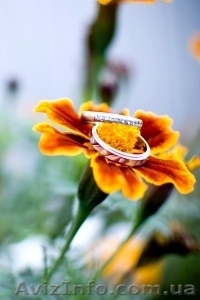 Творческий фотограф #468162