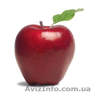 Подбайте про збереження врожаю 2012 вже сьогодні! #478790