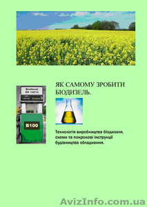 Оборудование для производства биодизеля. #481204