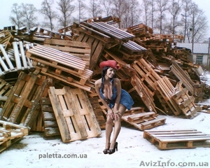 куплю  поддоны БУ,  ломаные   #457740