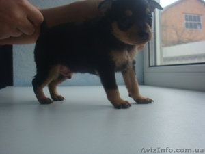 Самый лучший подарочек к новогодним праздникам #472928