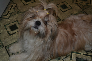 МАЛЬЧИК ИЩЕТ ДЕВОЧКУ #478187