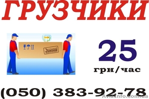 Послуги вантажників 25грн/год #470427